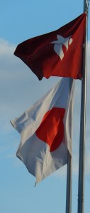 Aichi Flag waving