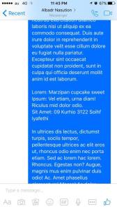 Teks Panjang di Pesan Singkat