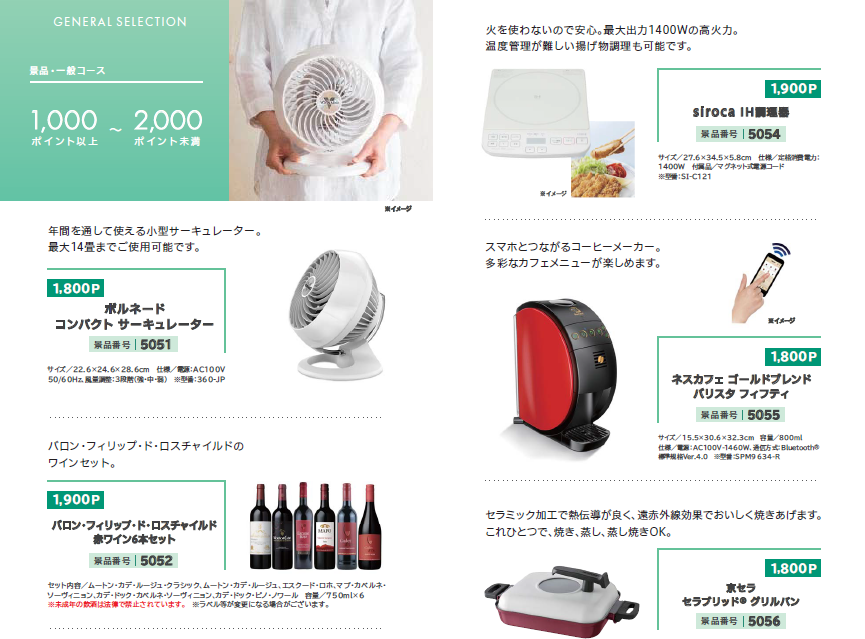 Katalog belanja VPASS.PNG